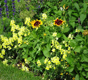 Eindrücke vom Rundgang durch den Park der Gärten