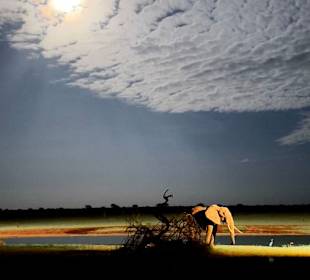 Ausblick vom Balkon / Ngutuni Lodge 