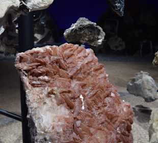Mineraliensammlung im Park