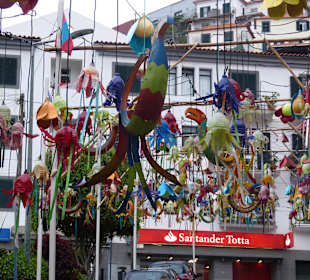 Camara de Lobos