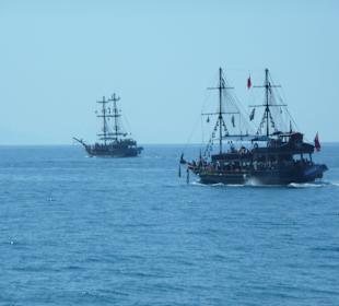 Die Flotitlie auf großer Fahrt