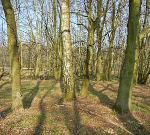 Wunderschöne Boberger Niederung