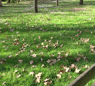 Unterer Schlossgarten Stuttgart