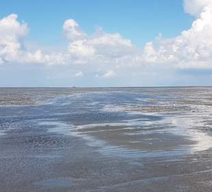 Wattenmeer 