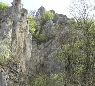 Heuscheuerle - Anhausen