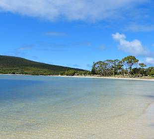 Strand in Albany