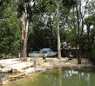 Stadtrundgang Sydney