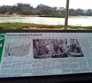 Naturschutzgebiet La Charca in Maspalomas
