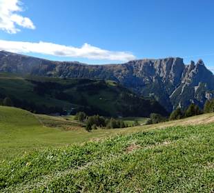 Blick auf den Schlern