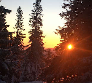 Wandern Hirschegg-Pack 