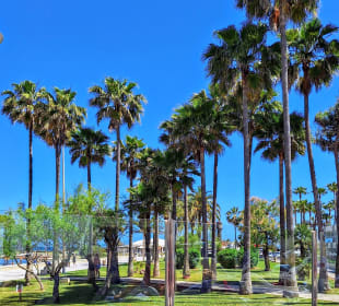 Strandpromenade Sa Coma