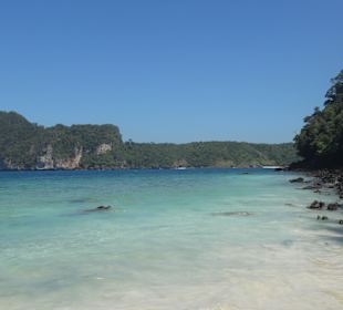 Monkey Beach