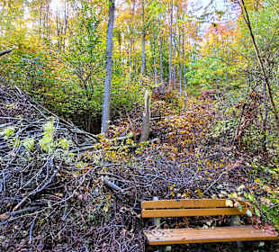 Hochwasserschäden am Wegesrand
