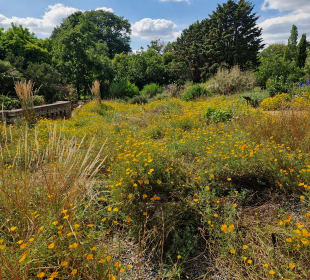 Kew Gardens