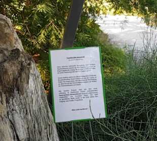 Botanischer Garten