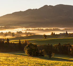 Panoramaweg Oy-Mittelberg