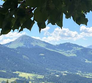 Ausblick