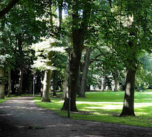 Spaziergang durch den Waller Park