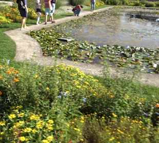 Botanischer Garten München