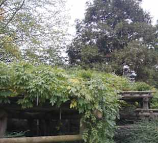 Parkanlage Planten un Blomen