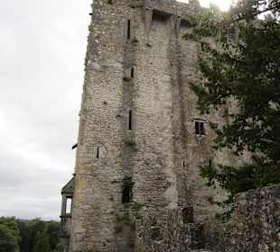 Blarney Castle
