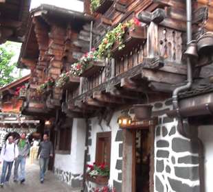 Themenbereich Schweiz