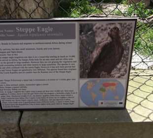 Malta Falconry Centre