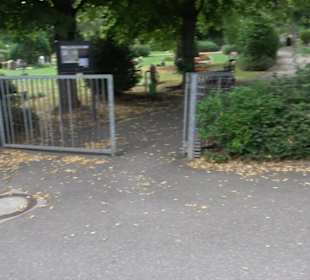 Friedhof