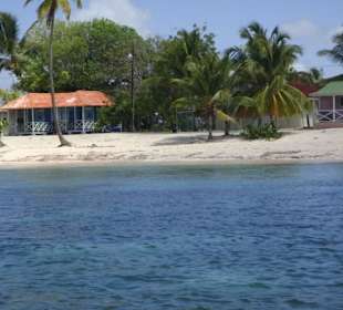 Insel Saona noch menschenleer