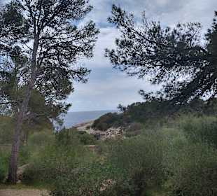 Schöne Aussicht beim Warten auf den Einlass