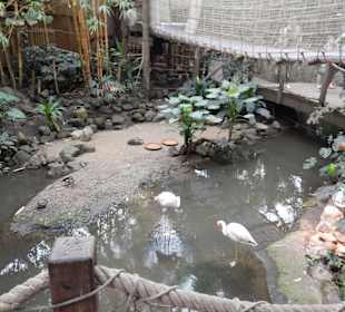 Djungle-Dome
