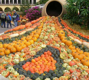 Kürbismarkt