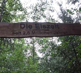 Dinosaurier Museum Altmühltal