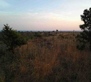 Krüger Nationalpark