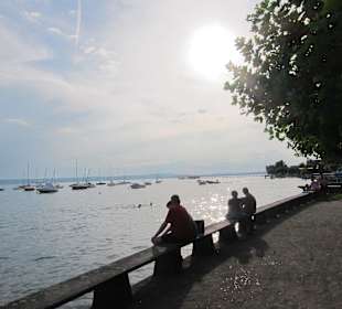 Direkt am Wasserufer in Hagnau