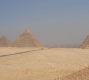 Man muß sie gesehen haben