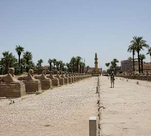 Luxor Tempel