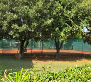 Tennisplätze
