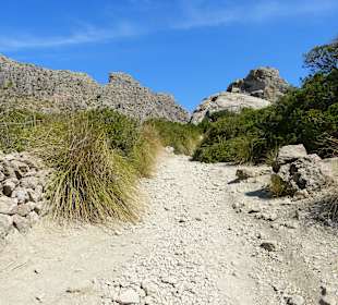 Weg zur Cala Boquer