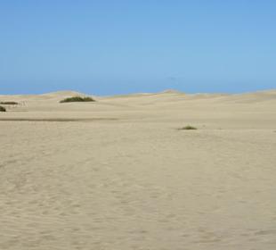 Dünen von Maspalomas