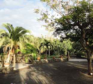Parque Botánico de Maspalomas