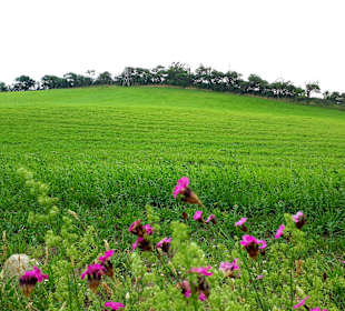 Wanderung Loddiner Höft
