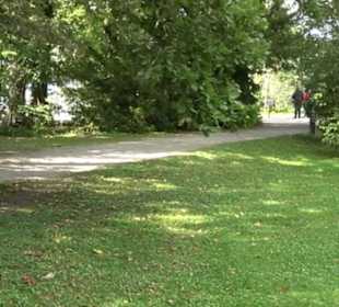 Schifffahrt zur Roseninsel