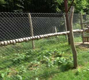 Phäno-Pfad Aichstetten