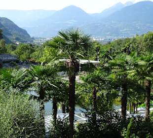 Im Palmengarten von Schloss Trauttmansdorff