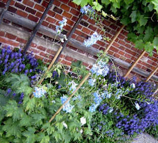 Küchengarten
