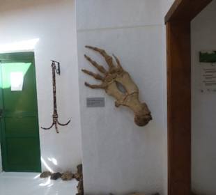 Ausflug nach La Graciosa