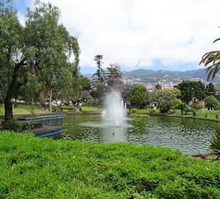 Am Teich des Parque de Santa Catarina
