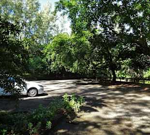 Kostenlose Parkplätze an der Anse des Cascades