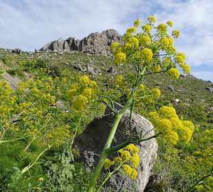 Wandern Damnoni